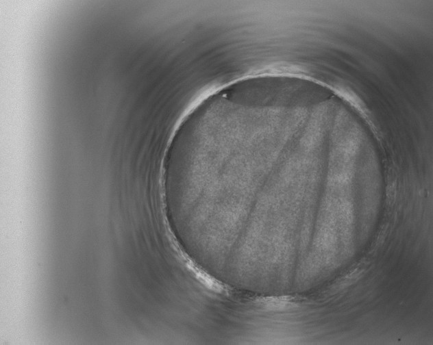 X0000080150990200612302123