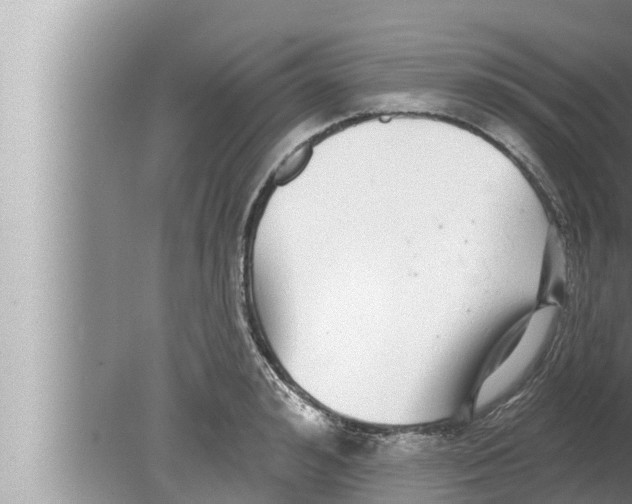 X0000080150992200612302123