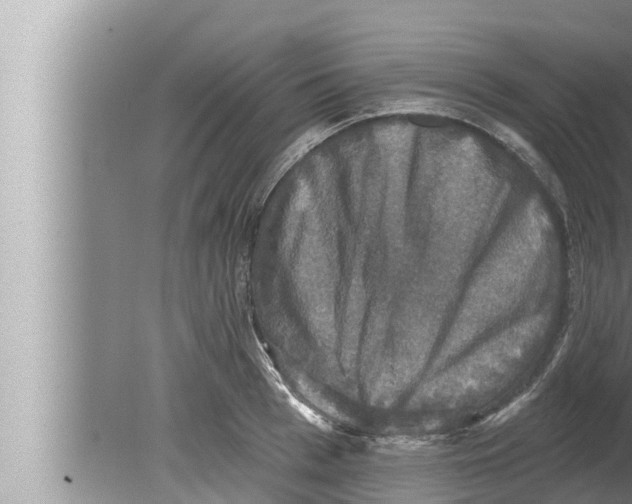 X0000080150993200612302123