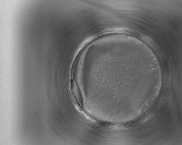 X0000080150994200612302123