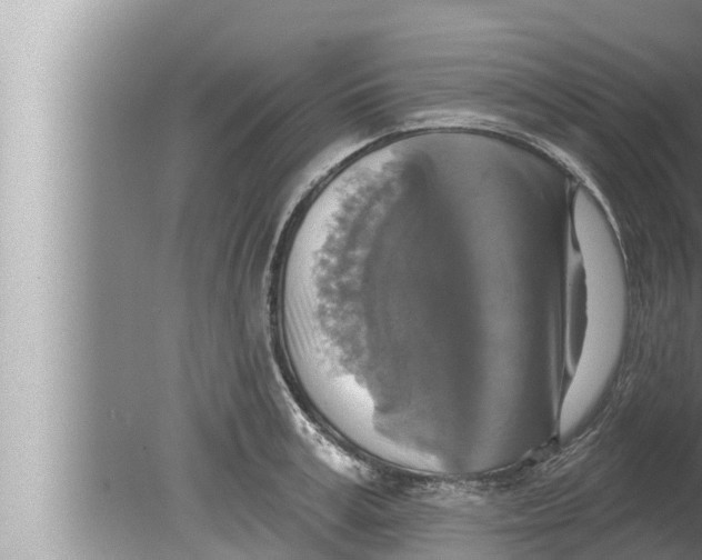 X0000080150995200612302123