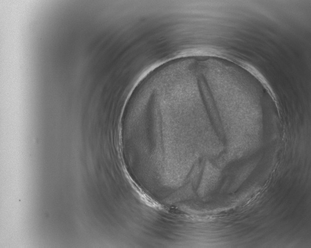 X0000080150996200612302123