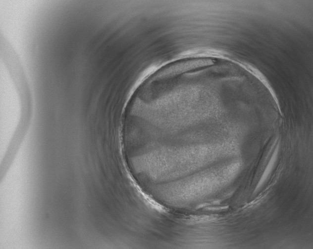 X0000080150997200612302123