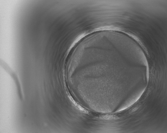 X0000080150998200612302123