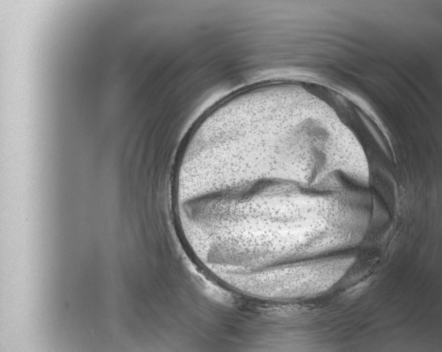 X0000080150999200612302123