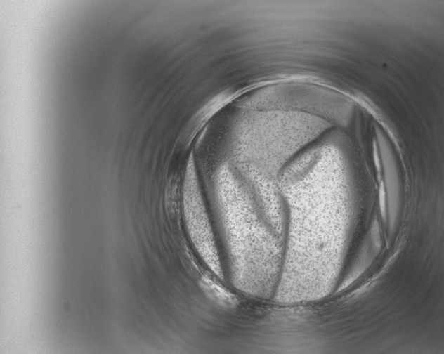 X0000080151001200612302123