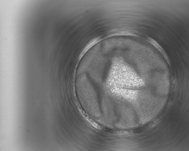 X0000080151002200612302123