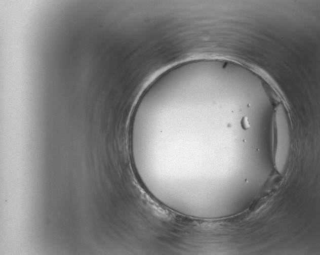 X0000080151004200612302123