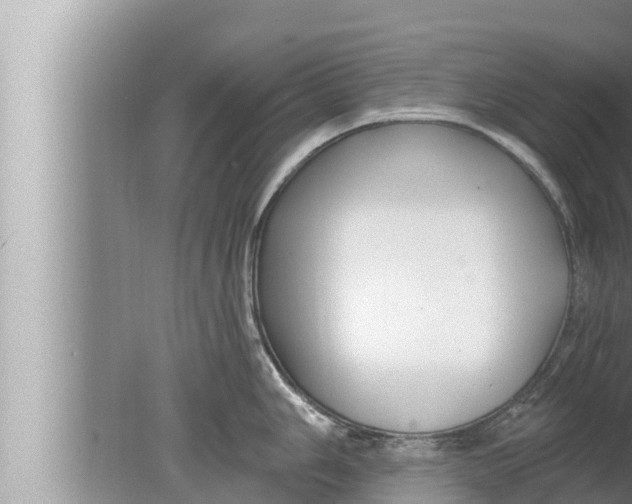 X0000080151006200612302123