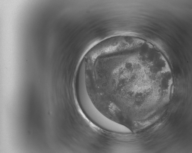 X0000080151007200612302123