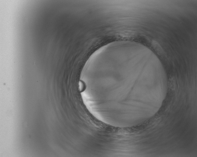 X0000080151009200612302122