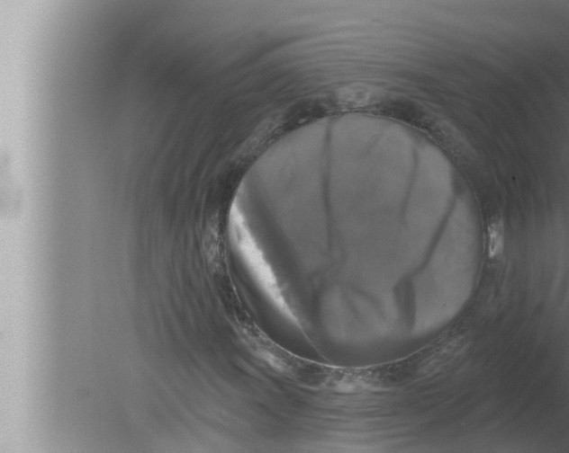 X0000080151011200612302122