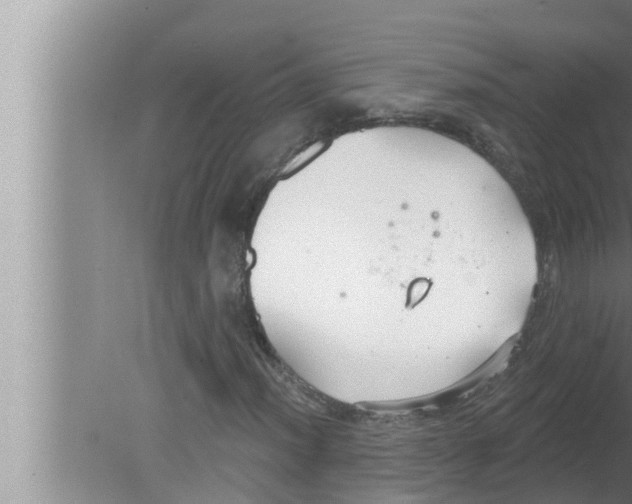 X0000080151012200612302122