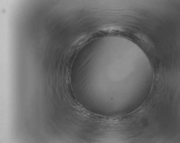 X0000080151014200612302122