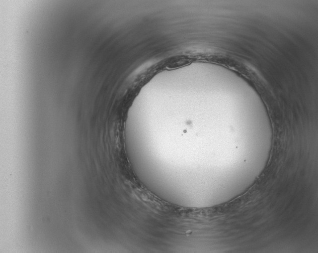 X0000080151016200612302122