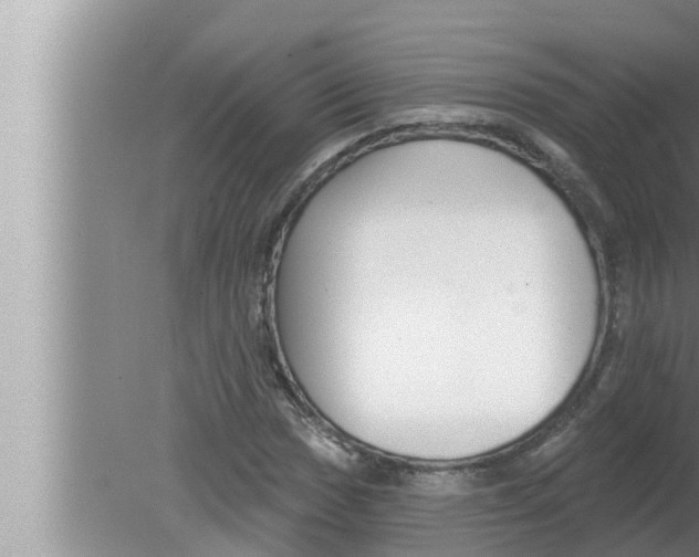 X0000080151017200612302122