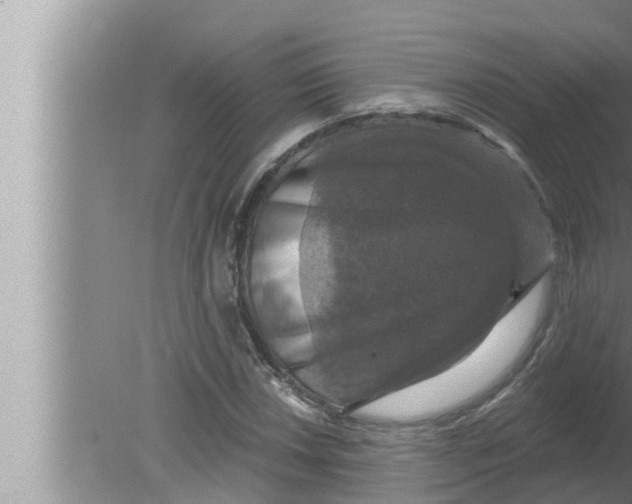 X0000080151018200612302122