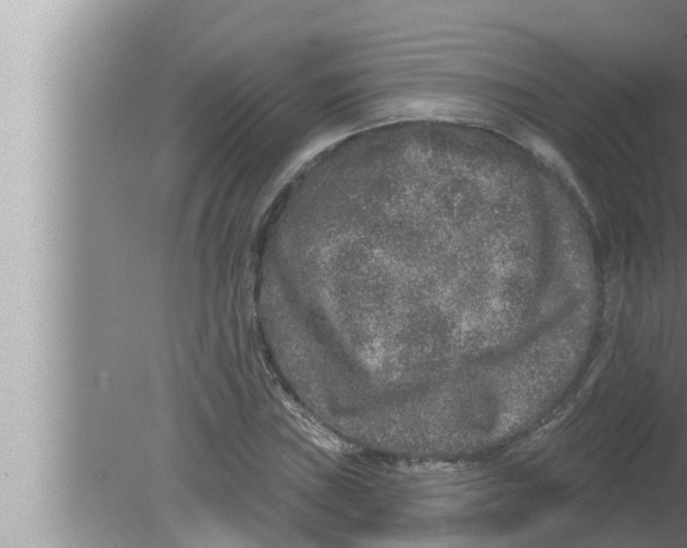 X0000080151019200612302122