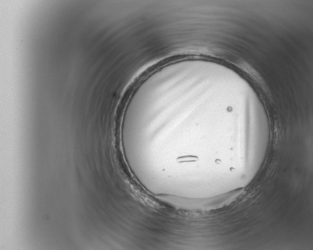 X0000080151020200612302122