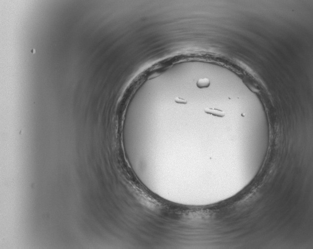 X0000080151021200612302122