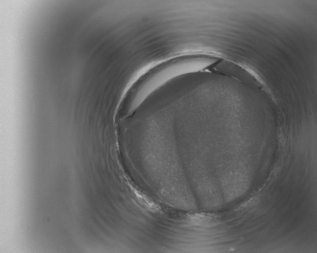 X0000080151022200612302122