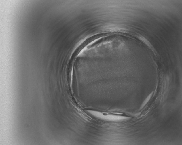 X0000080151023200612302122