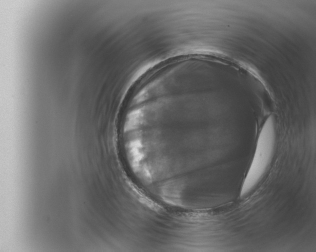 X0000080151024200612302122