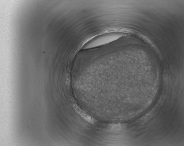 X0000080151025200612302122