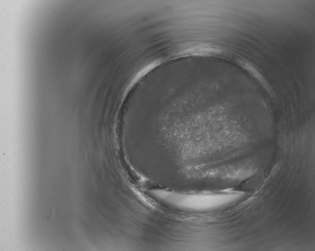 X0000080151026200612302122