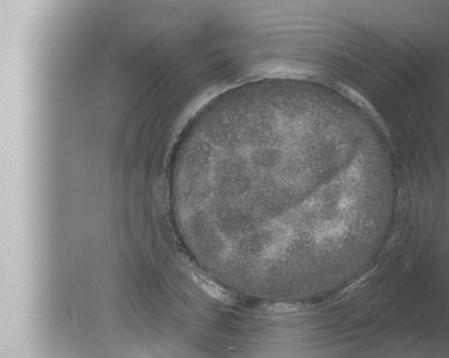 X0000080151027200612302122