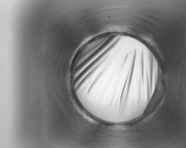 X0000080151029200612302122