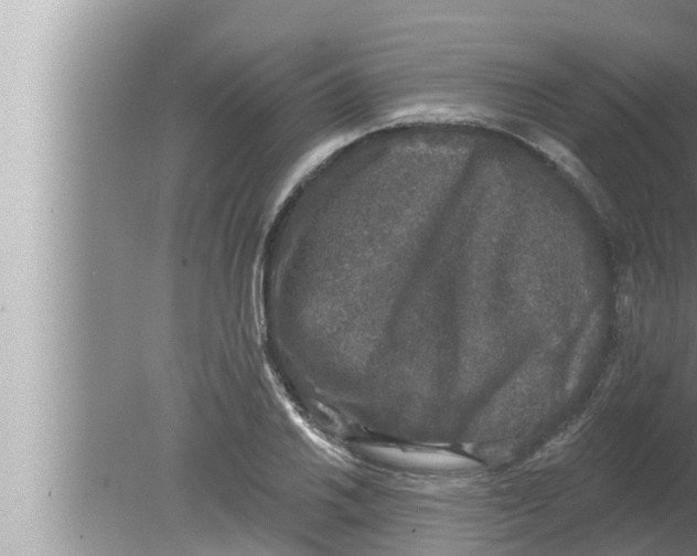 X0000080151030200612302122