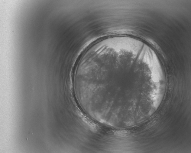 X0000080151031200612302122