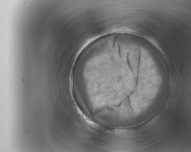 X0000080151032200612302122