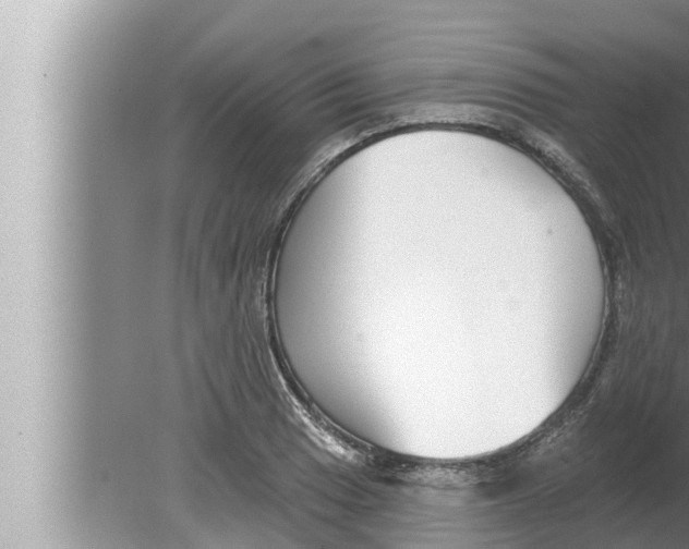 X0000080151033200612302122