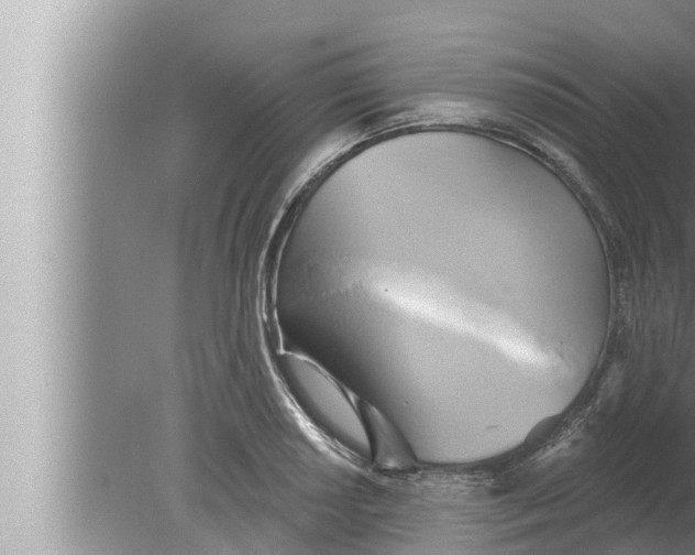 X0000080151034200612302122