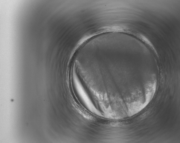 X0000080151035200612302122