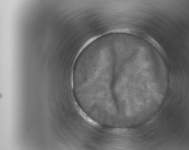 X0000080151036200612302122