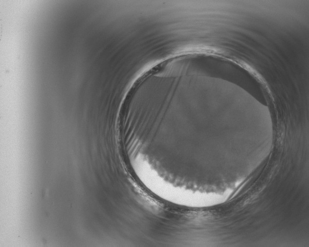 X0000080151037200612302122