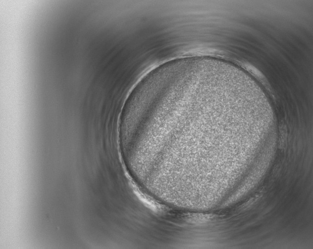 X0000080151039200612302122