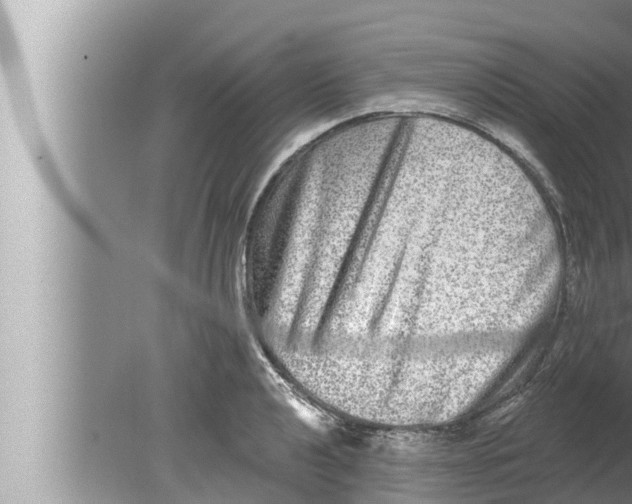 X0000080151040200612302122