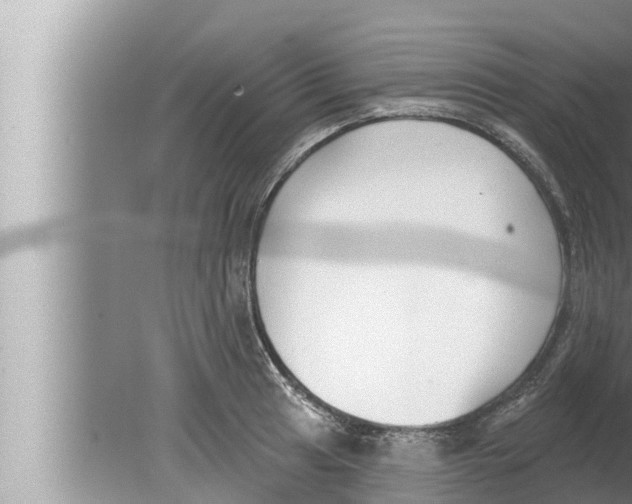 X0000080151041200612302122