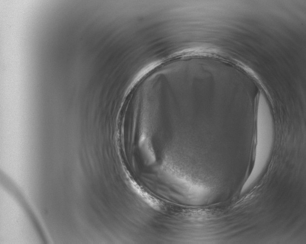 X0000080151042200612302122