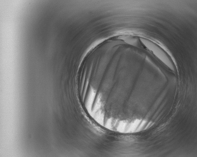 X0000080151045200612302122