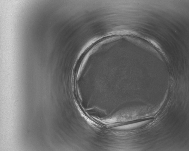 X0000080151046200612302122