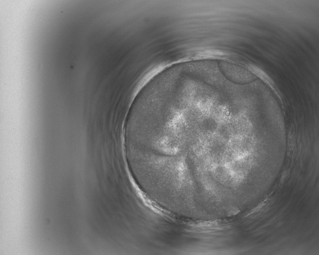 X0000080151047200612302122