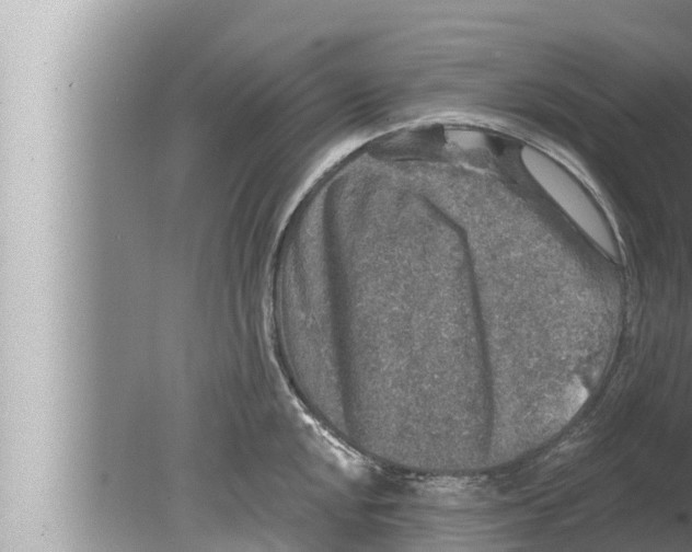 X0000080151048200612302122