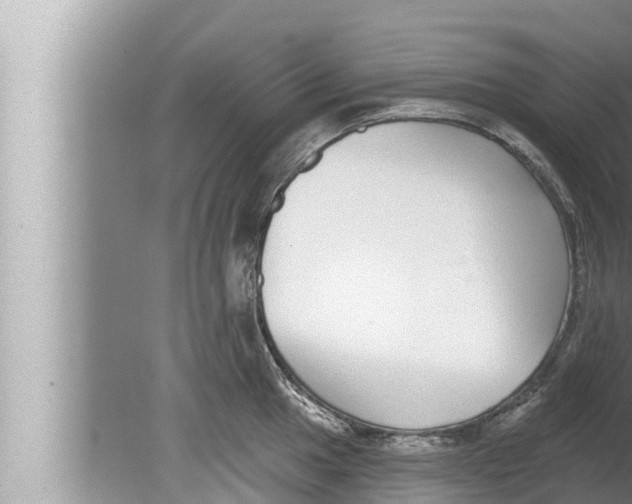 X0000080151049200612302122