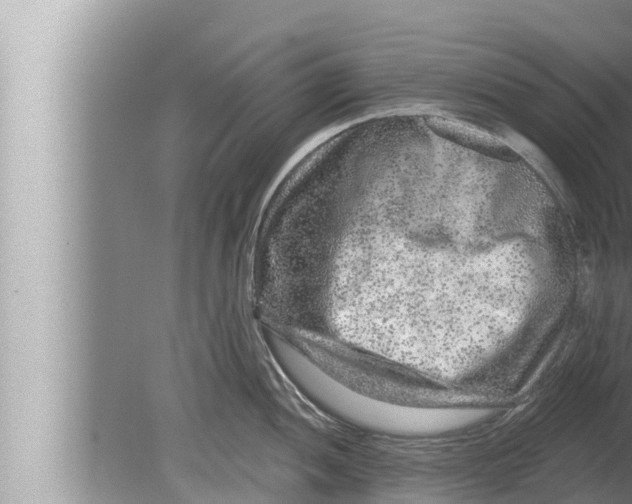 X0000080151052200612302123