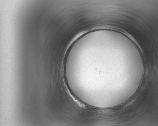 X0000080151053200612302123